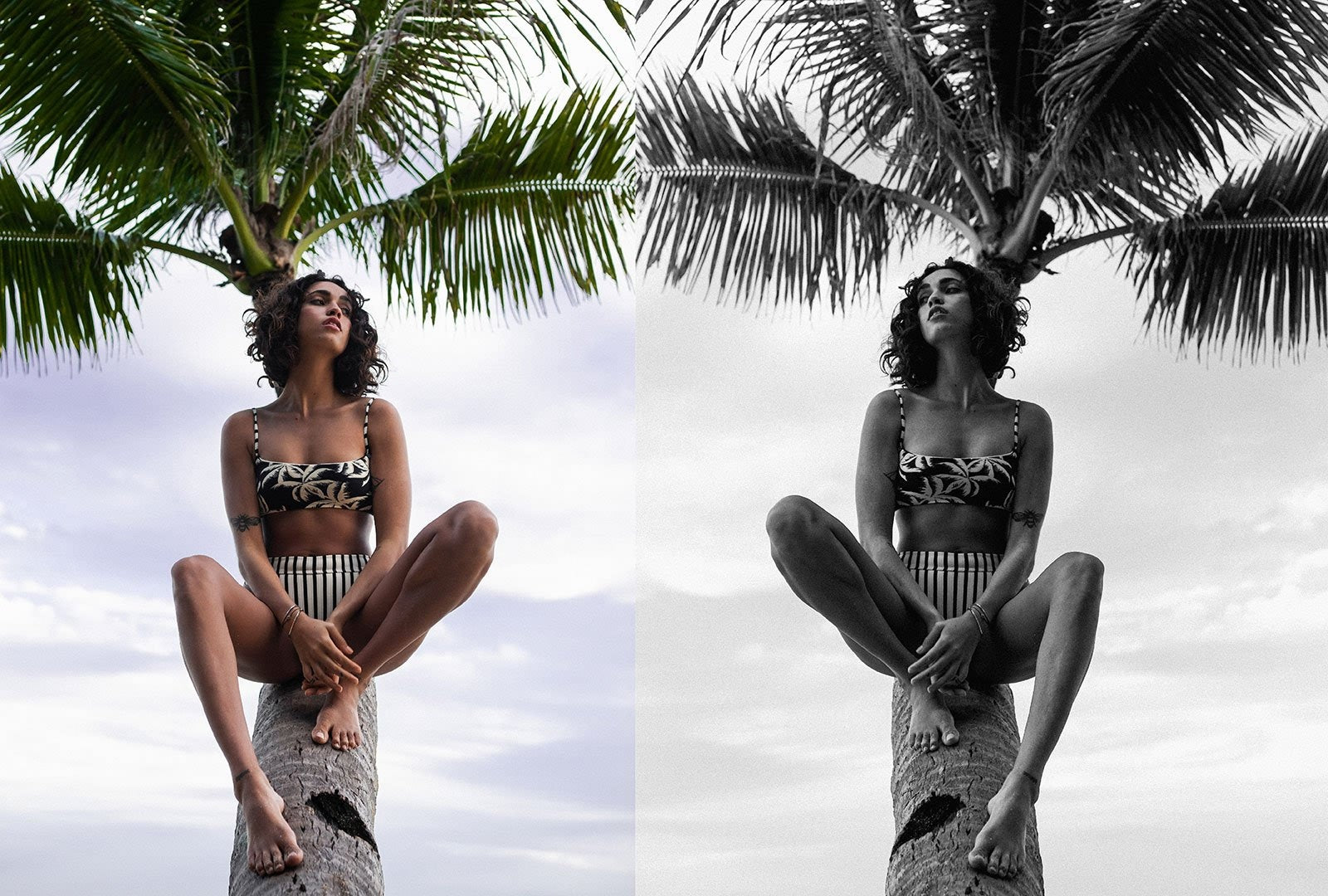 Billabong Under The Palms Lookbook