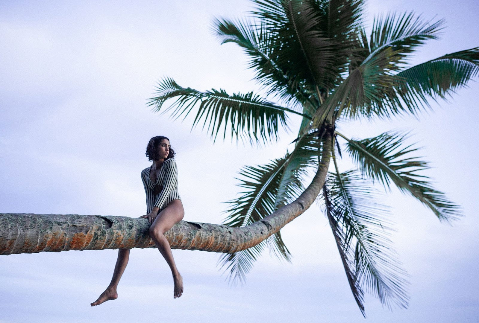 Billabong Under The Palms Lookbook