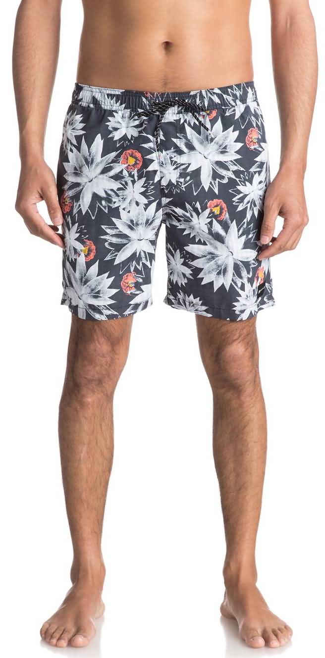 Quiksilver Originals Fall 2017 | Mens Beach Shorts