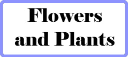 Flower and plant quilt patterns, florals