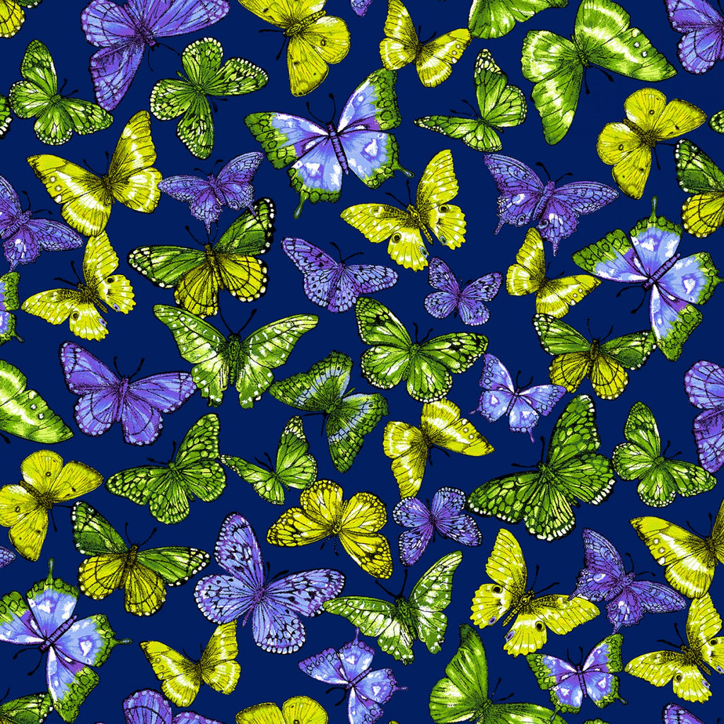 Blue Rainbow Butterfly Digitally Printed – StoryQuilts.com