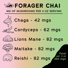 Forager Chai from Portal Tea contains chaga, cordyceps, lions mane, maitake and reishi mushrooms.