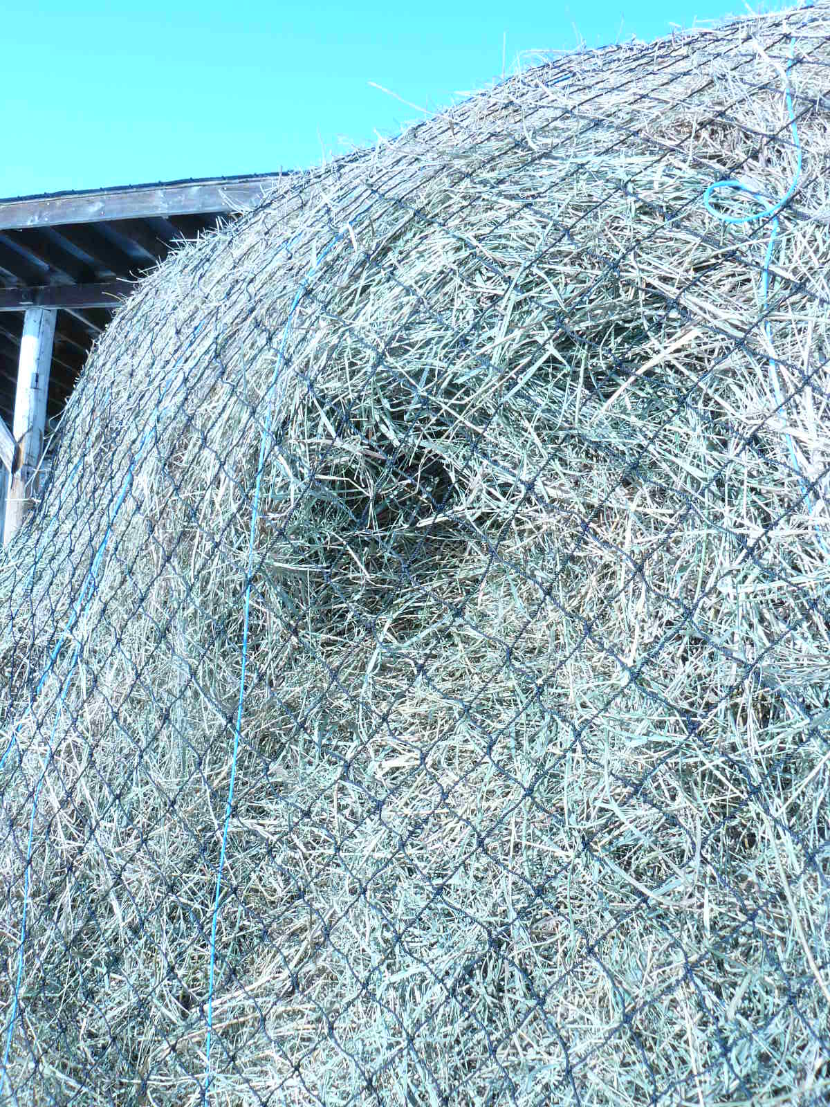 Round Bale Net Hd 1 5 Extra Large Eco Nets