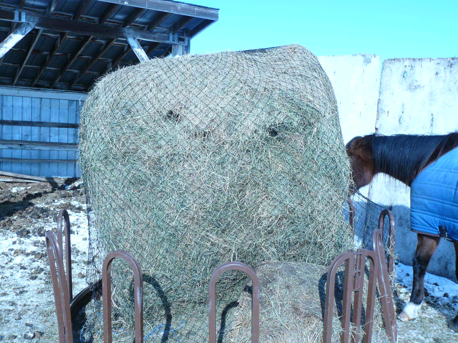 Round Bale Net Hd 1 5 Extra Large Eco Nets