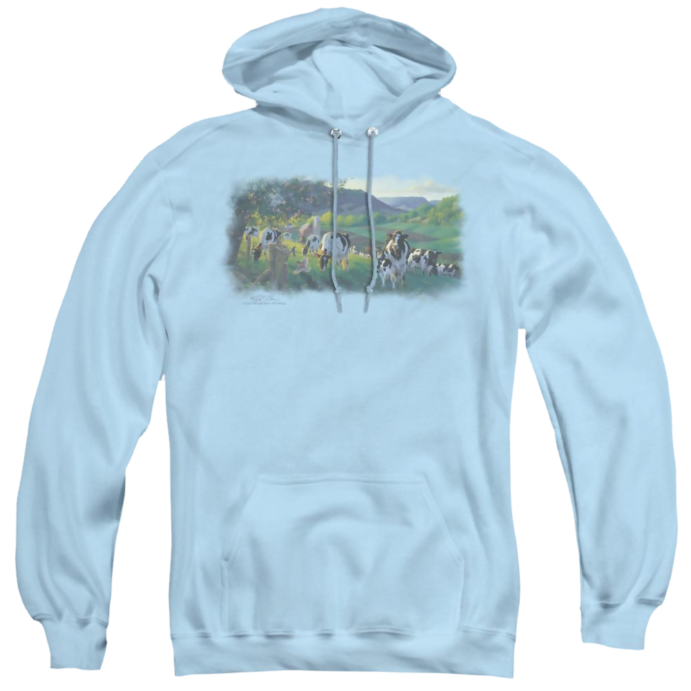 Wild Wings Gods Country - Pullover Hoodie