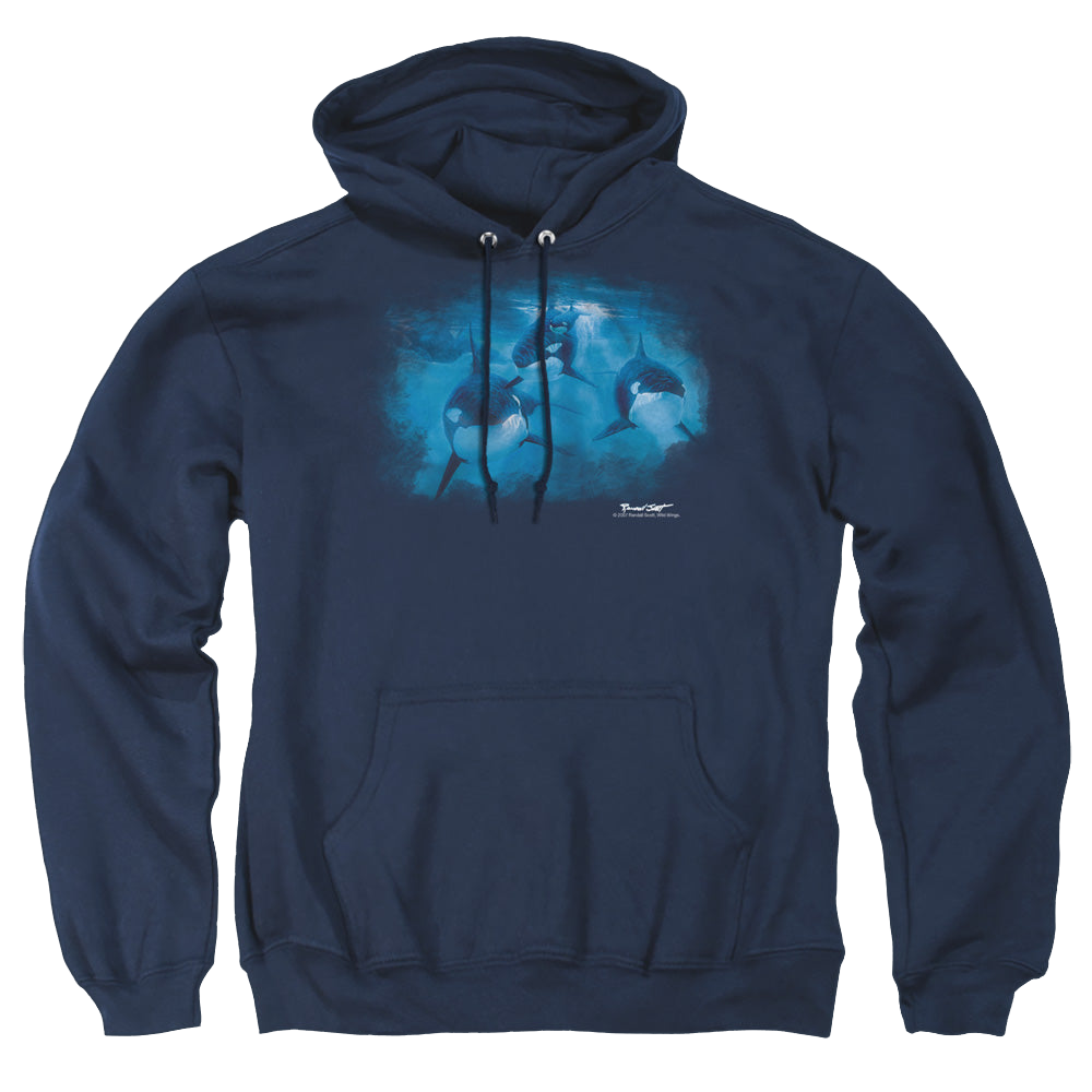 Wild Wings Pod Of Orcas - Pullover Hoodie