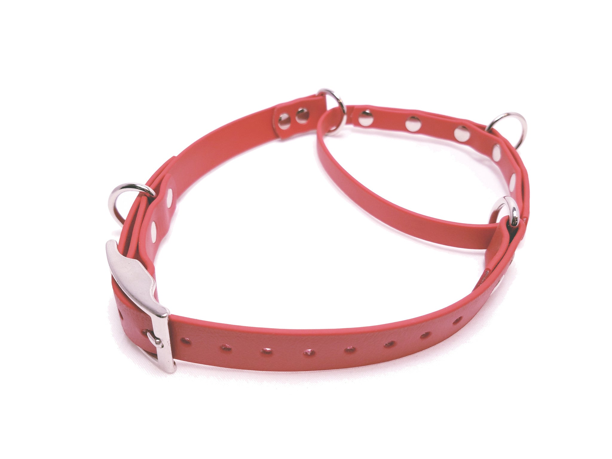 BioThane Martingale Collar – Real Dog 