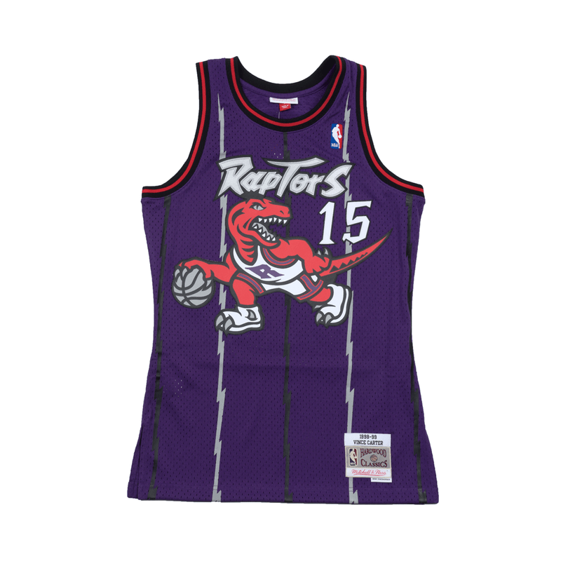 vince carter hardwood classic jersey