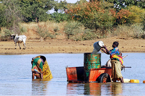 women hauling water