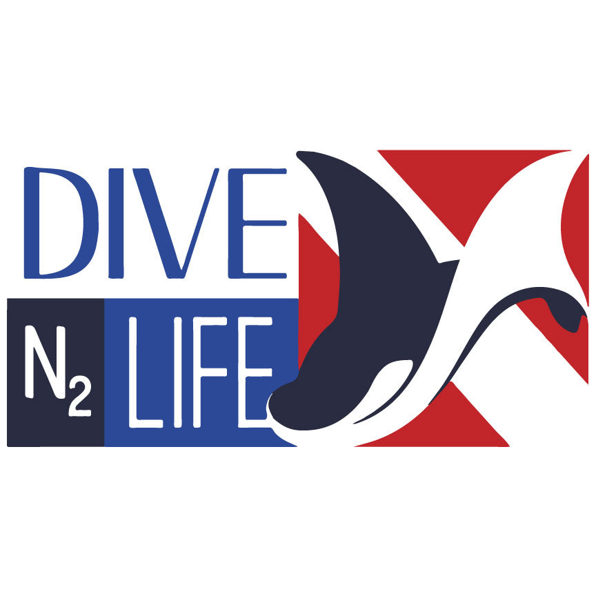 DiveN2Life – Dixie K Designs