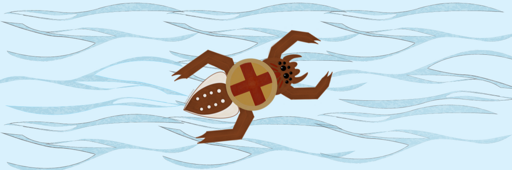 Cherokee Water Spider Story 