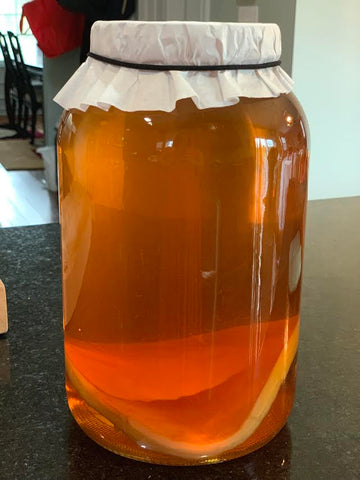 Glass jar with 2 coffee filters secured around the top which allow kombucha to ferment