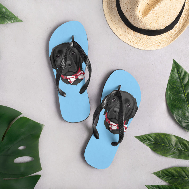 pet flip flops