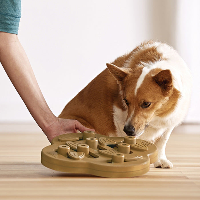 dog food puzzle