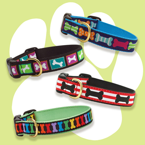 fun dog collars and leashes