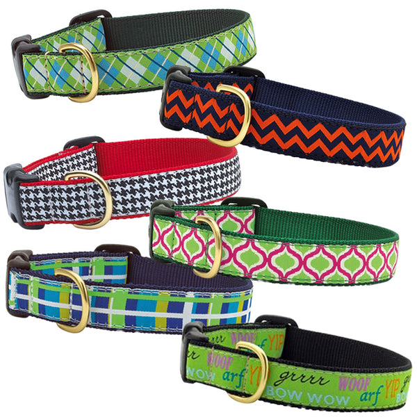 fun dog collars and leashes