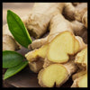 Uplift Massage lotion features ginger essential oil.