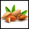 Sweet Almond Oil