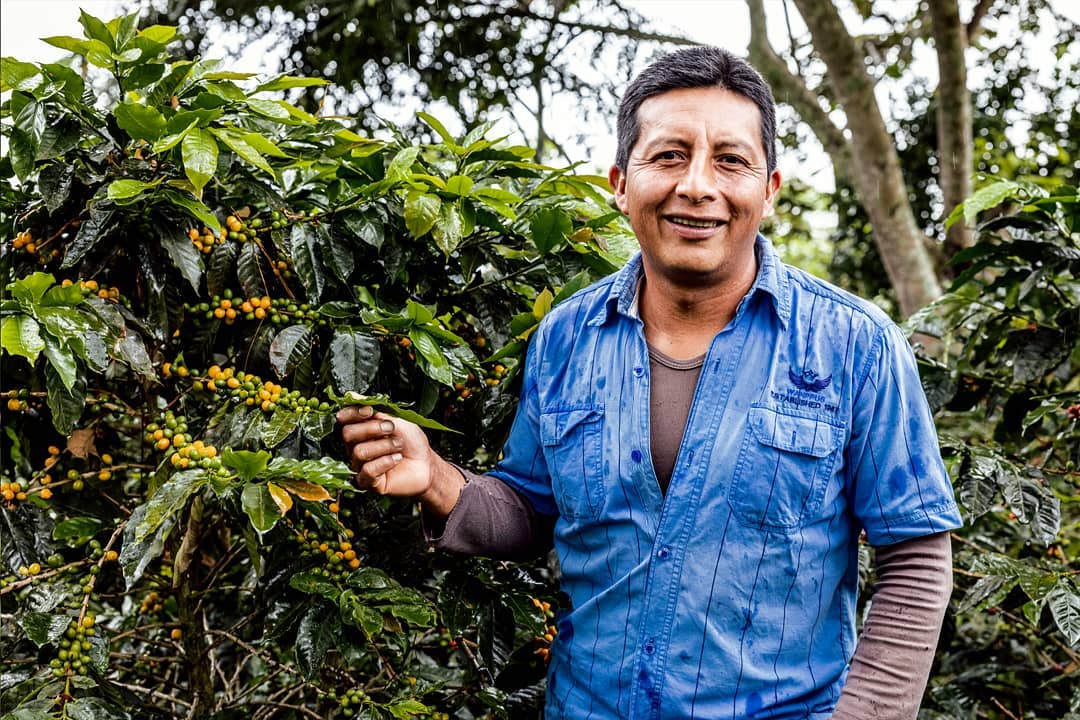 Specialty coffee green coffee sourcing with Caravela