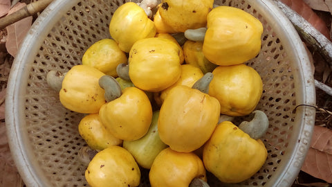 cashew fruits