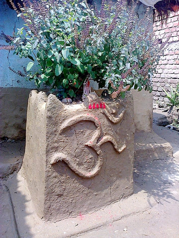 Aarti Tulsi mata ki