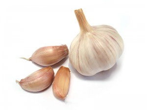 Why no garlic during navratras