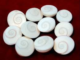 Gomti chakra benefits