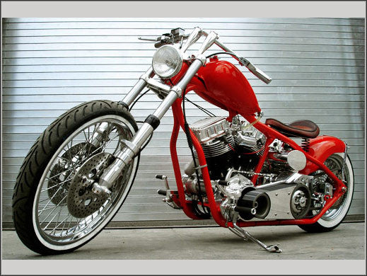 rigid bobber frame