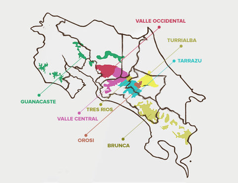 Costa Rican coffee regions