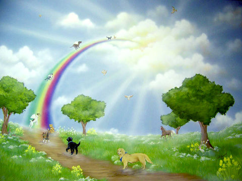 grieving with loss of a pet - rainbow bridge poem 