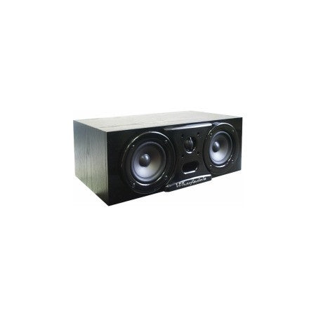 speaker monoblock