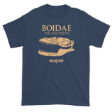 Boidae