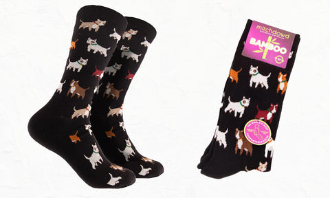 Black dog socks