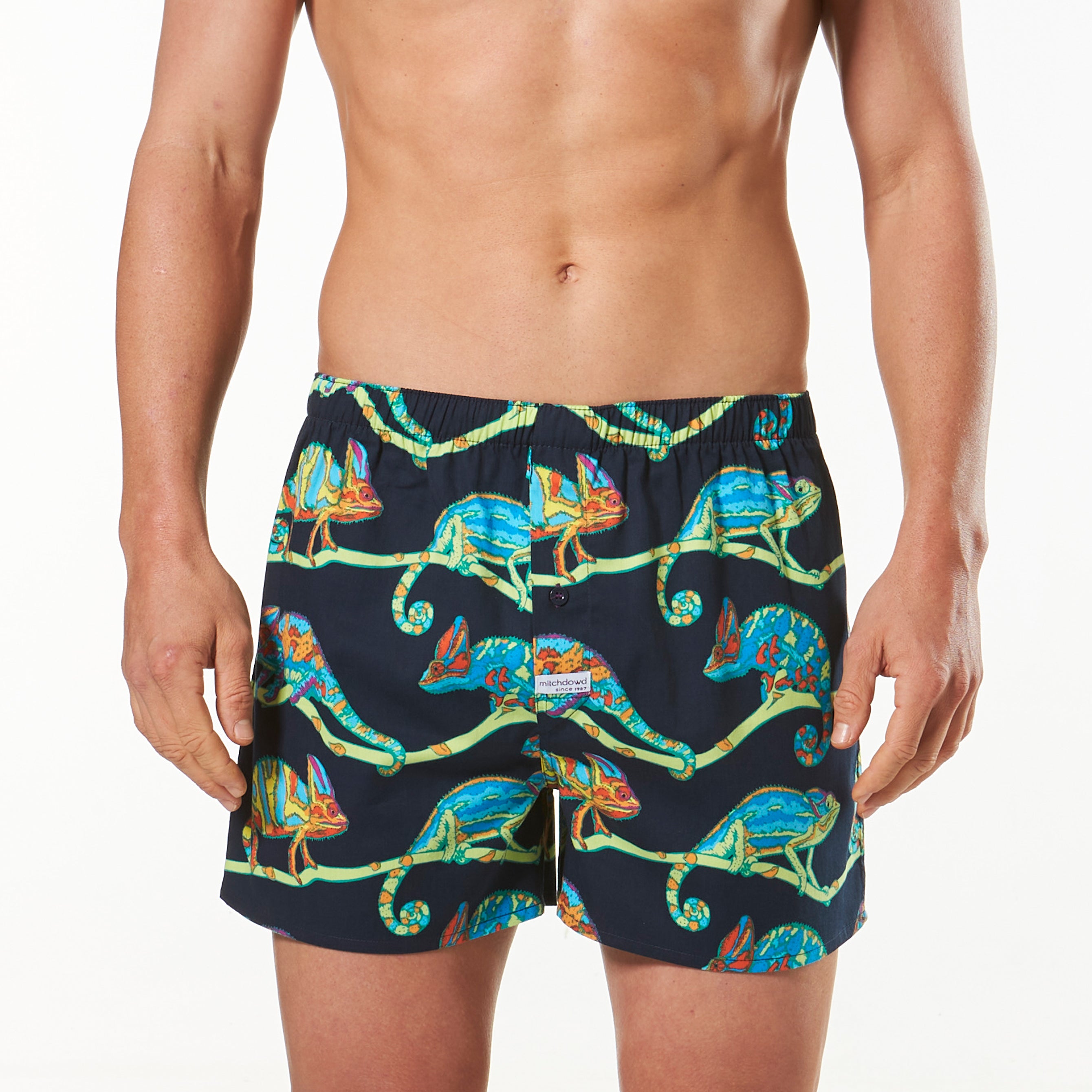 Men's Chameleons Printed Boxers