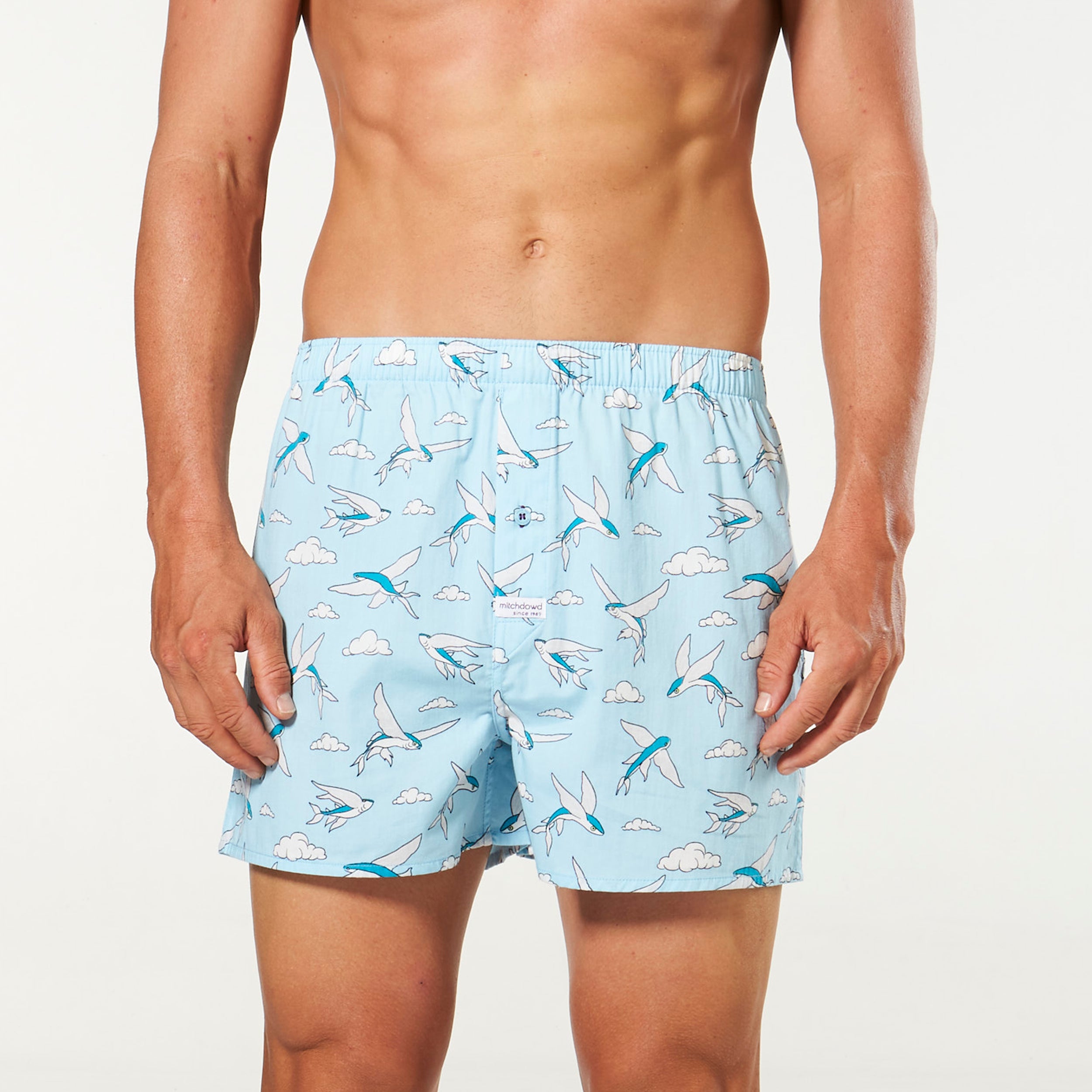 Men's Flying Fish Cotton Printed Boxer Shorts