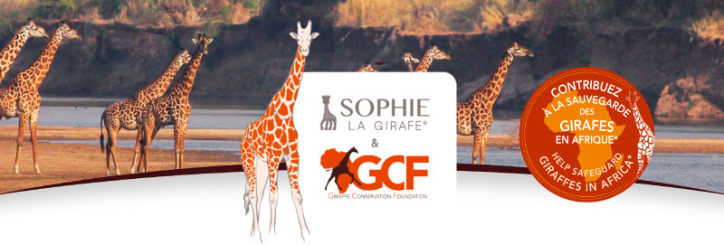 Sophie la girafe x GCF header