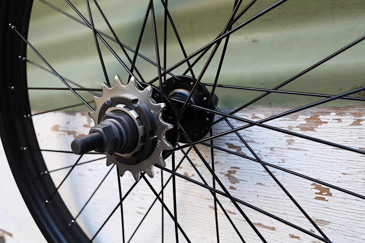 rear cassette