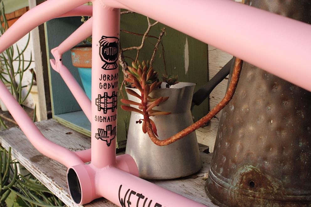 wethepeople doomsayer pink