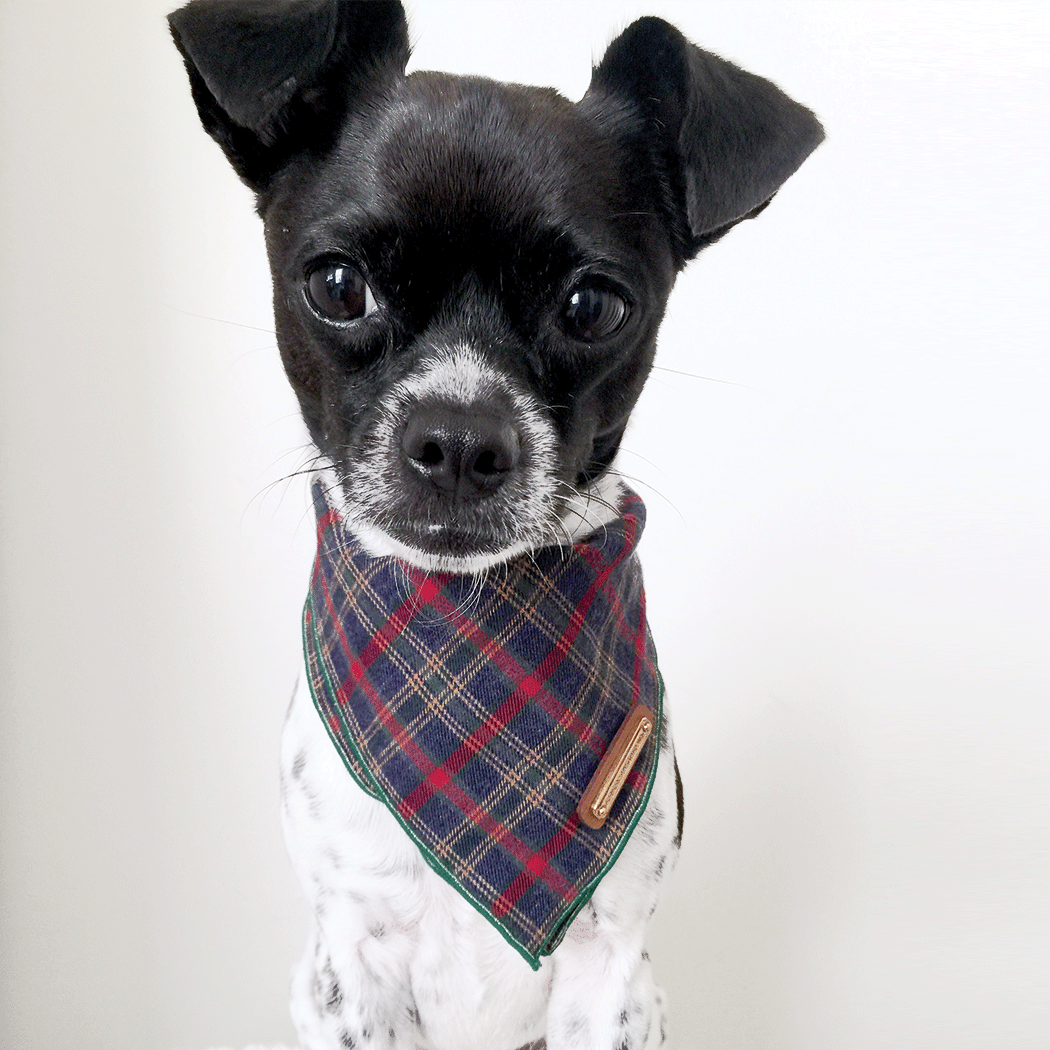 plaid bandana for dogs