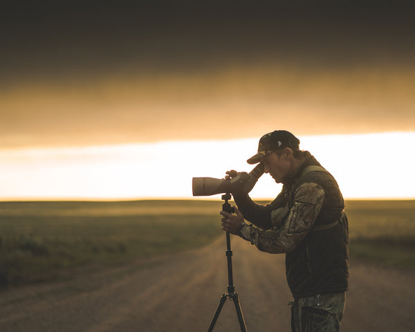 glassing for pronghorn