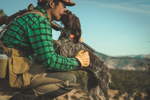 upland hunting wired haired griffon