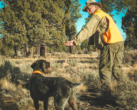 Scott Linden upland hunting