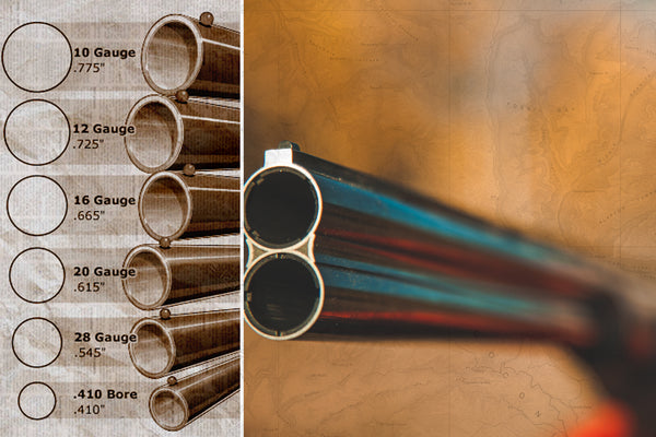 shotgun gauge chart