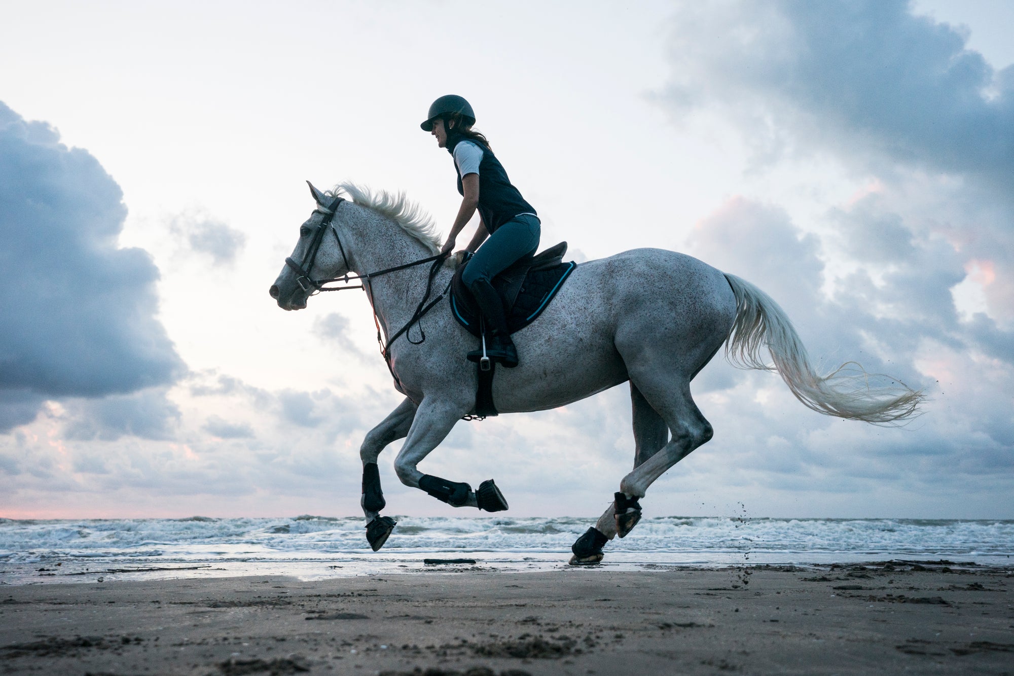 Horse Riding Brand, Fouganza | Decathlon