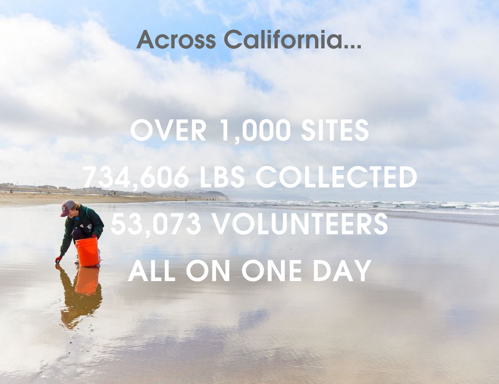 CA Coastal Cleanup Decathlon