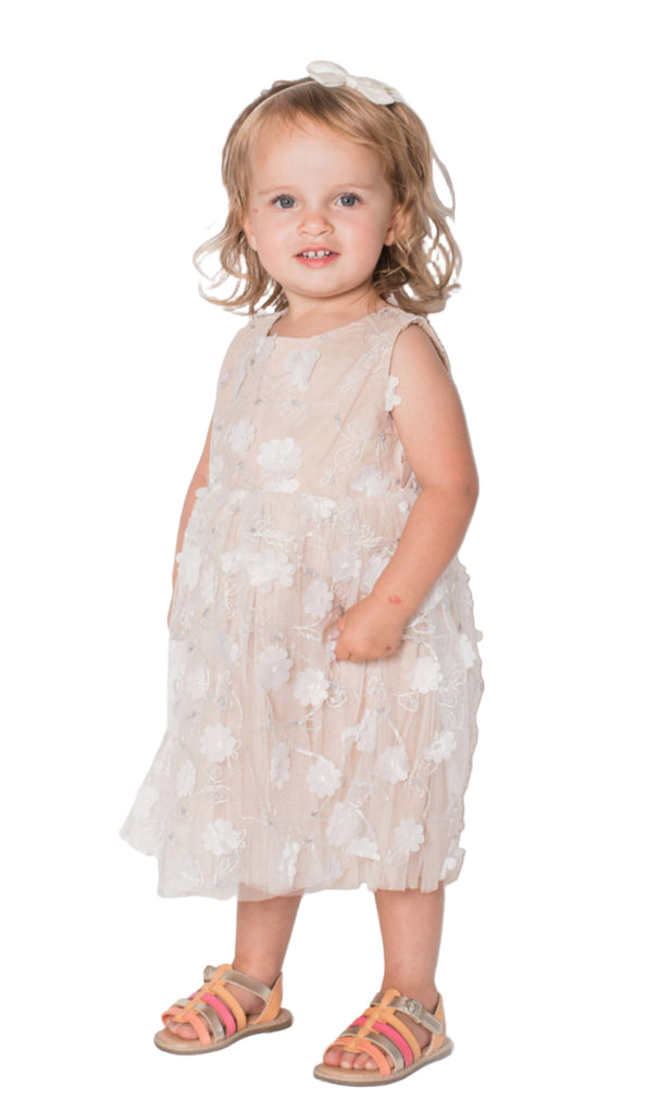 Popatu Baby & Little Girl's 3D Floral Overlay Dress