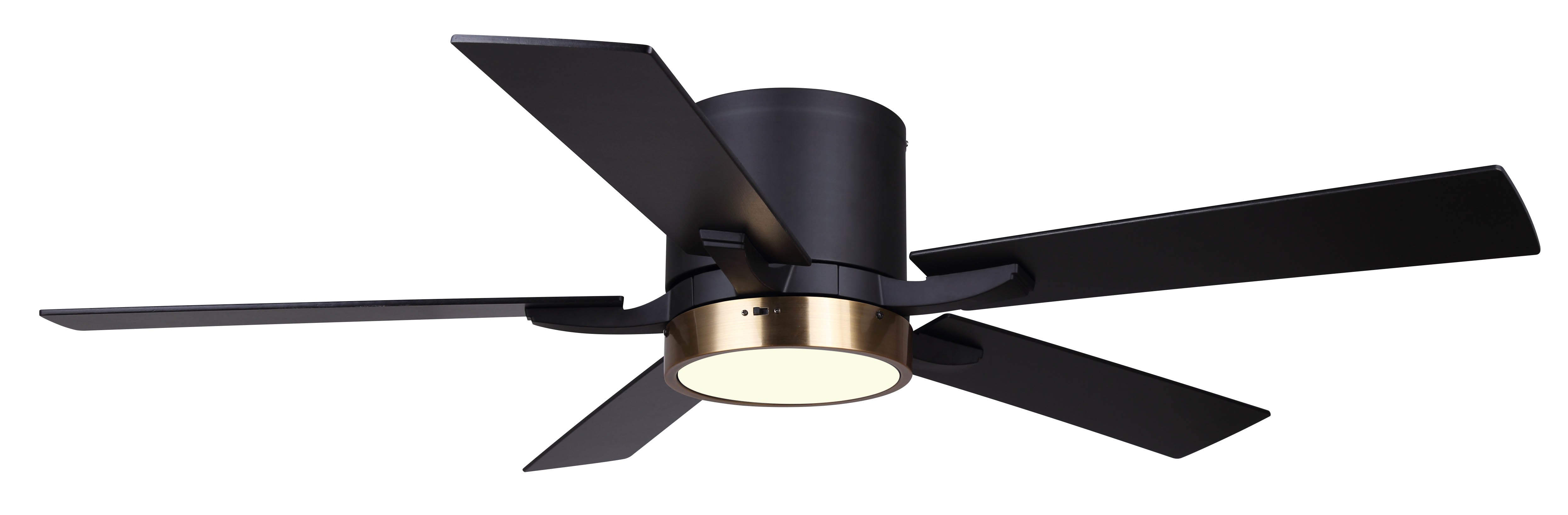 black and gold ceiling fan