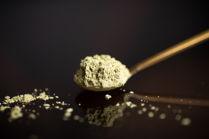 green tea powder on a spoon, dark background