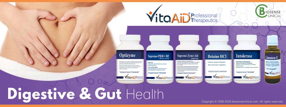 VitaAid category banner Digestive & Gut health