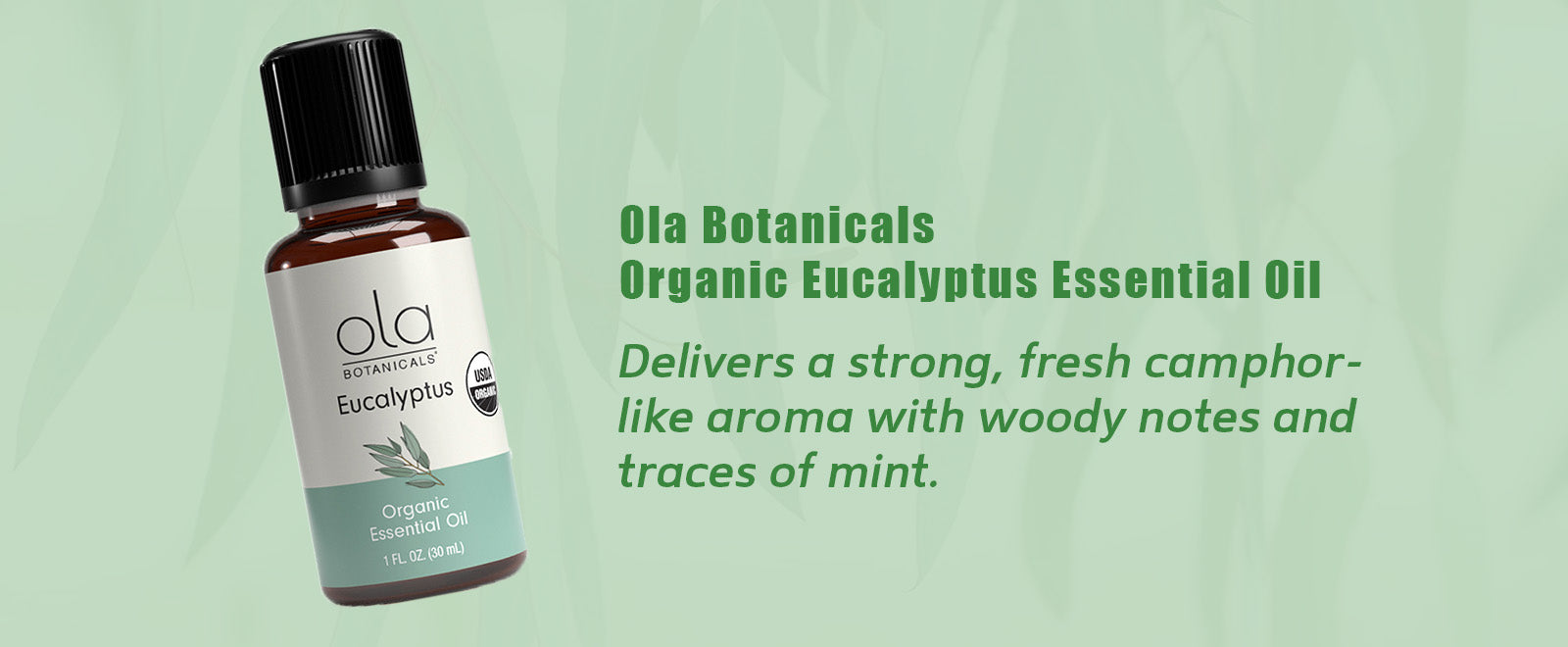 Ola Botanicals Organic Eucalyptus Essential Oil - Elevate Your Senses with Ola Botanicals® Organic Eucalyptus Essential Oil: Nature's Renewal for Mind and Body!